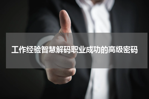 工作经验智慧解码职业成功的高级密码