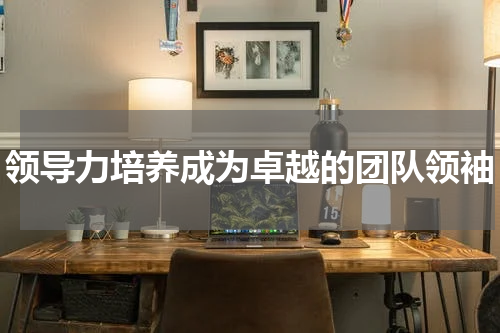 领导力培养成为卓越的团队领袖