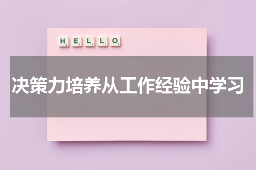 决策力培养从工作经验中学习