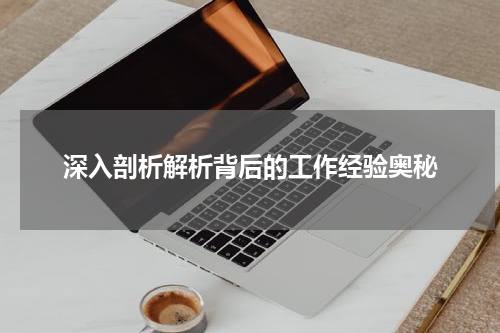 深入剖析解析背后的工作经验奥秘