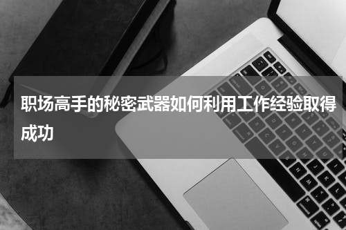 职场高手的秘密武器如何利用工作经验取得成功