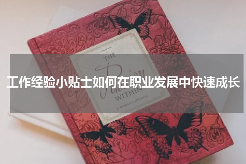 工作经验小贴士如何在职业发展中快速成长