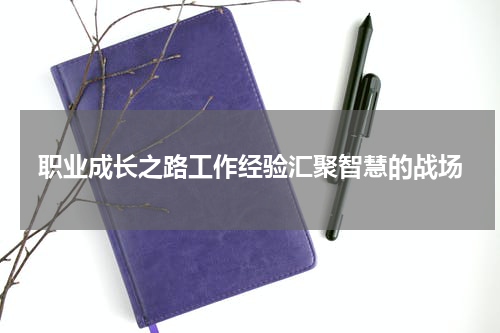 职业成长之路工作经验汇聚智慧的战场