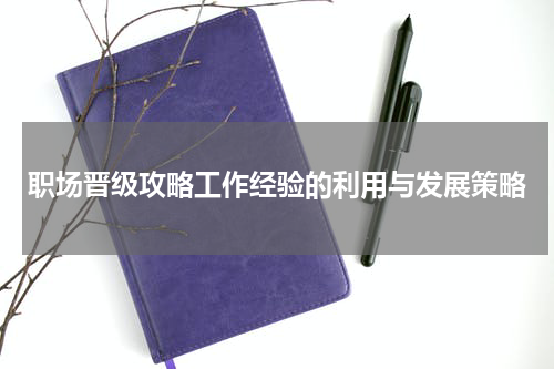 职场晋级攻略工作经验的利用与发展策略