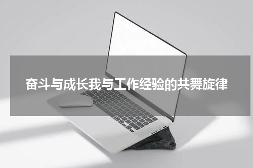 奋斗与成长我与工作经验的共舞旋律