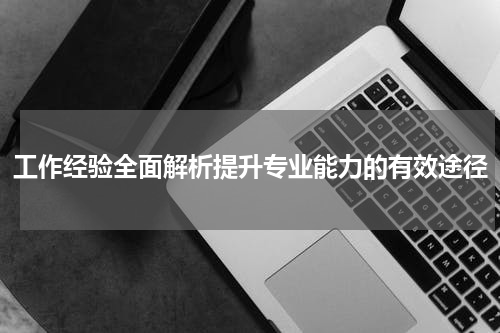工作经验全面解析提升专业能力的有效途径