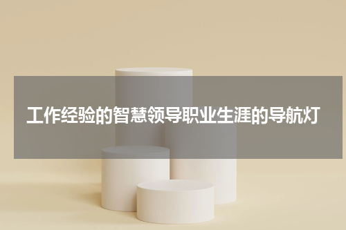 工作经验的智慧领导职业生涯的导航灯