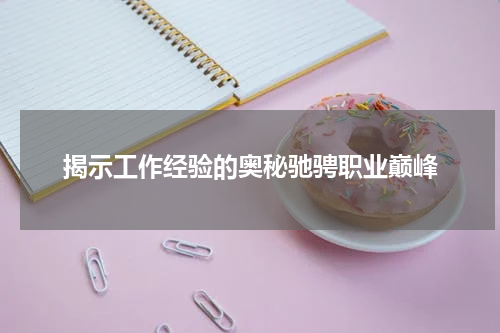 揭示工作经验的奥秘驰骋职业巅峰
