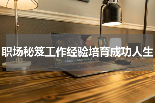职场秘笈工作经验培育成功人生
