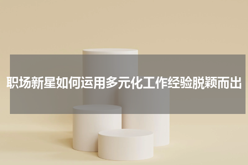 职场新星如何运用多元化工作经验脱颖而出