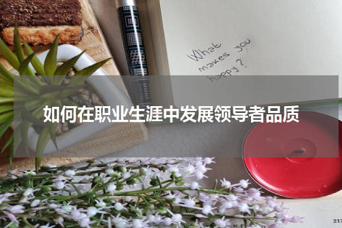 如何在职业生涯中发展领导者品质