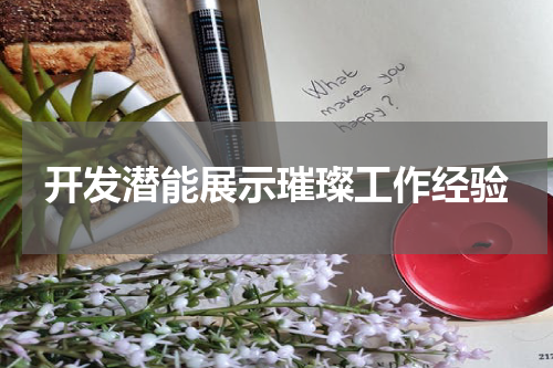 开发潜能展示璀璨工作经验