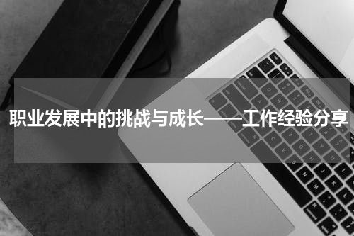职业发展中的挑战与成长——工作经验分享