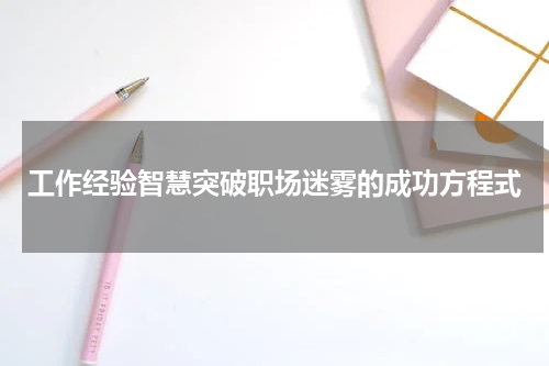 工作经验智慧突破职场迷雾的成功方程式