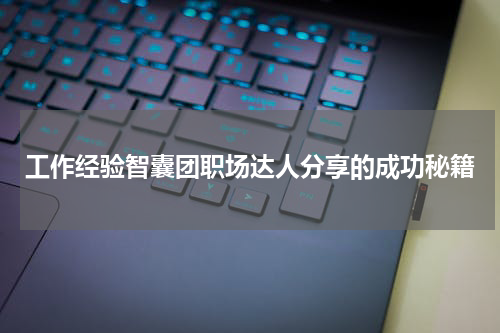 工作经验智囊团职场达人分享的成功秘籍