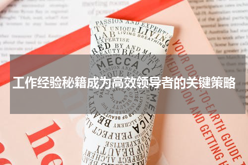 工作经验秘籍成为高效领导者的关键策略