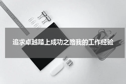 追求卓越踏上成功之路我的工作经验