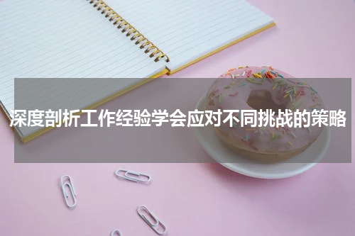 深度剖析工作经验学会应对不同挑战的策略