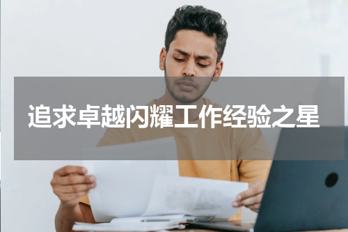 追求卓越闪耀工作经验之星