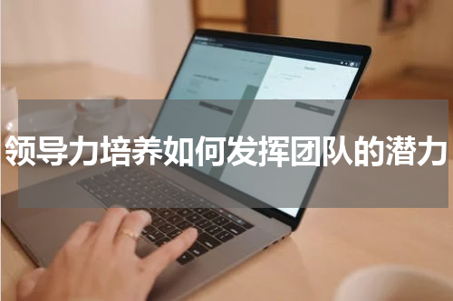 领导力培养如何发挥团队的潜力
