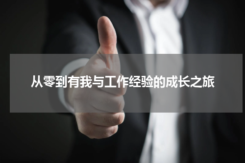 从零到有我与工作经验的成长之旅