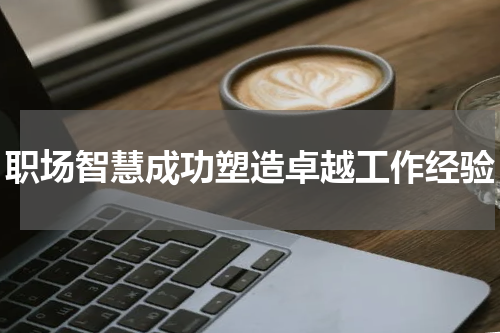 职场智慧成功塑造卓越工作经验