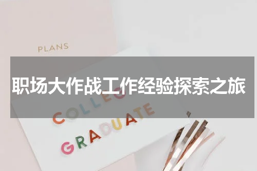 职场大作战工作经验探索之旅