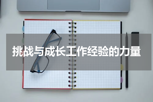 挑战与成长工作经验的力量