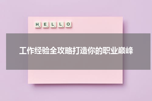 工作经验全攻略打造你的职业巅峰
