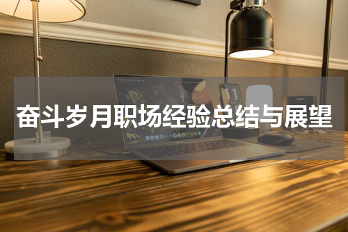 奋斗岁月职场经验总结与展望