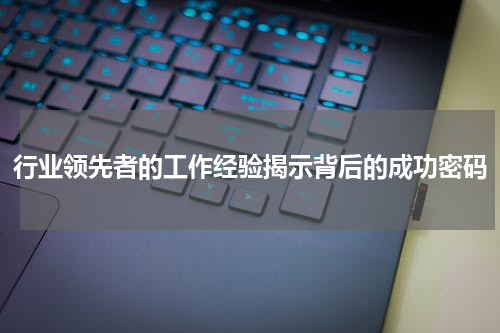 行业领先者的工作经验揭示背后的成功密码