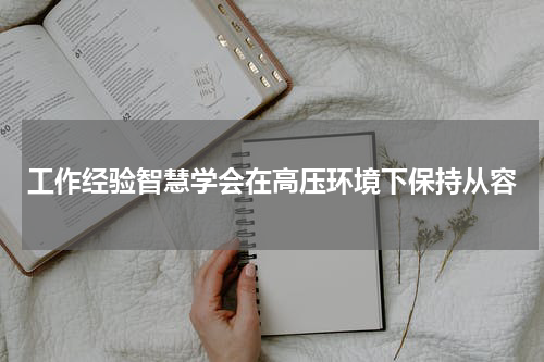 工作经验智慧学会在高压环境下保持从容