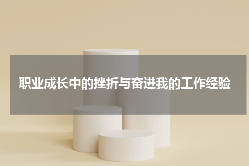 职业成长中的挫折与奋进我的工作经验