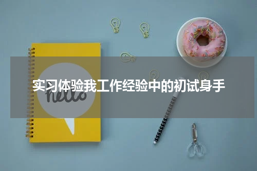 实习体验我工作经验中的初试身手