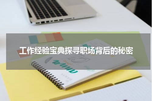 工作经验宝典探寻职场背后的秘密