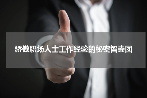 骄傲职场人士工作经验的秘密智囊团