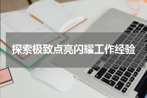 探索极致点亮闪耀工作经验