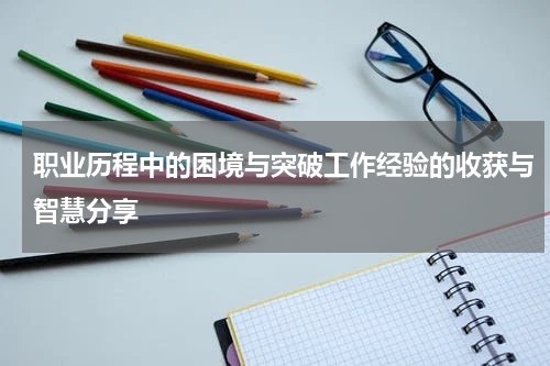 职业历程中的困境与突破工作经验的收获与智慧分享