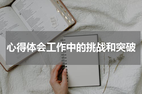 心得体会工作中的挑战和突破