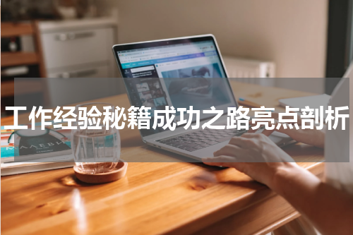 工作经验秘籍成功之路亮点剖析