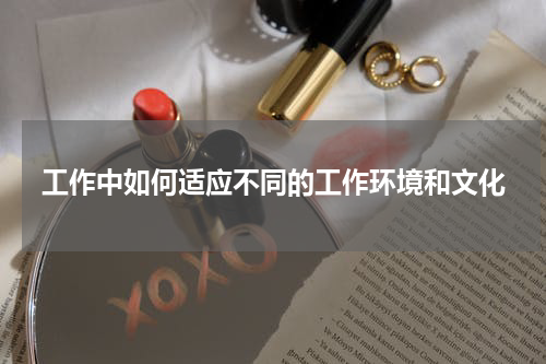 工作中如何适应不同的工作环境和文化