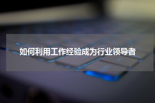 如何利用工作经验成为行业领导者