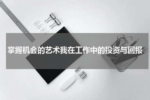 掌握机会的艺术我在工作中的投资与回报