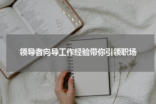 领导者向导工作经验带你引领职场