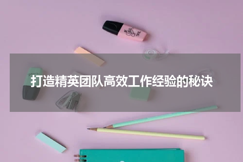 打造精英团队高效工作经验的秘诀