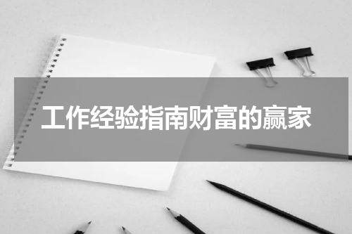 工作经验指南财富的赢家