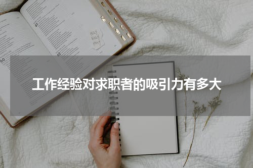 工作经验对求职者的吸引力有多大