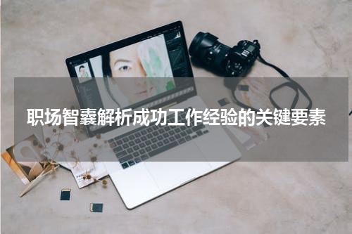职场智囊解析成功工作经验的关键要素