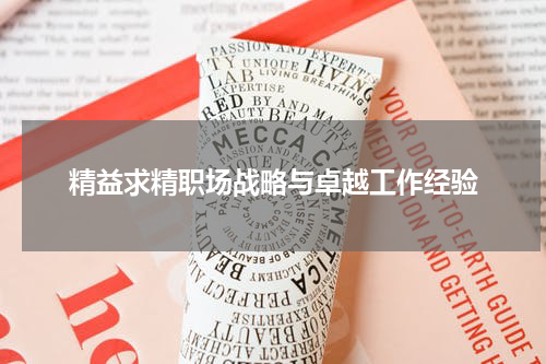 精益求精职场战略与卓越工作经验