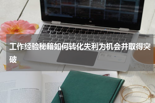 工作经验秘籍如何转化失利为机会并取得突破